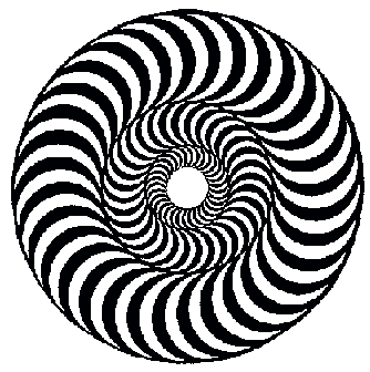 Magnetic Force Whorl